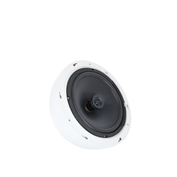 HPS 820 WH Enceinte sphérique 15 Watts 100 V