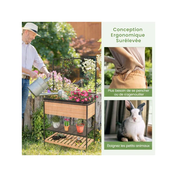 Jardinière Surélevé en Bois avec Treillis Étagère à 2 Niveaux Cadre en Métal Séparateur Amovible à 8 Grilles