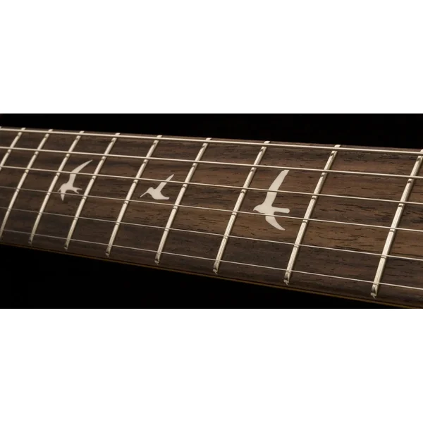 John Mayer Silver Sky USA (RW) - midnight rose