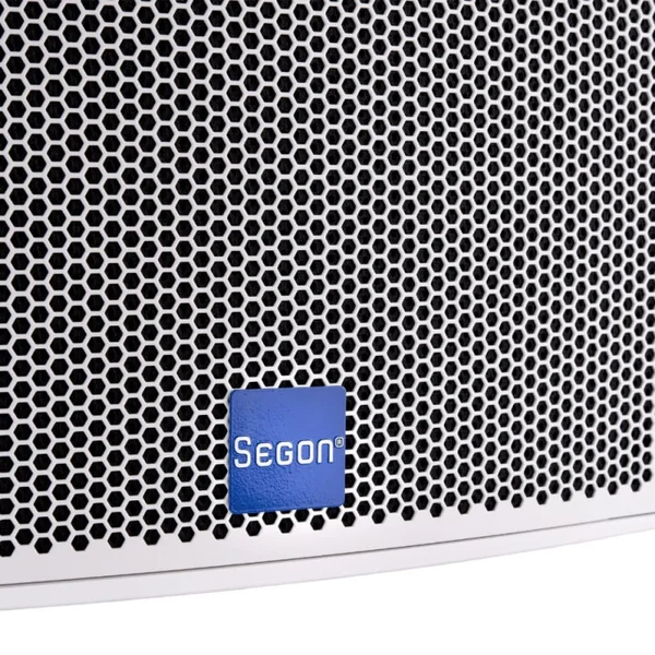 JS-FWT10B Enceinte compacte 200-100 Watts 100 V