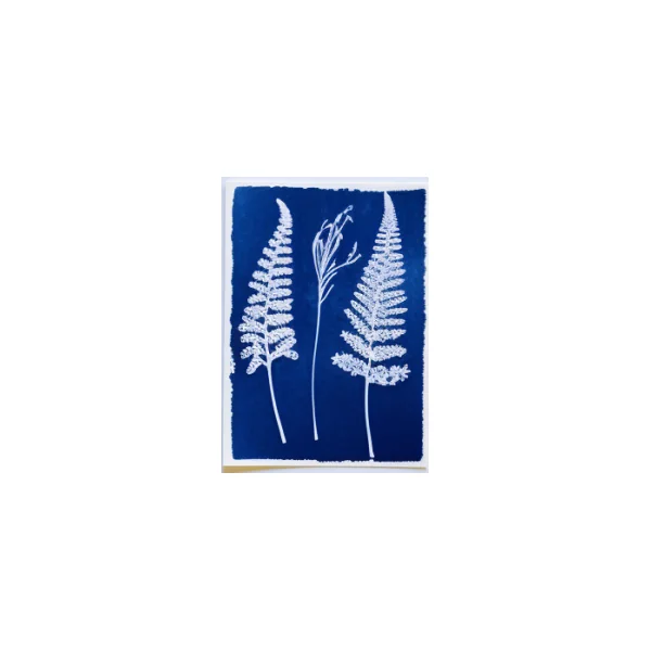 Kit Cyanotype Enjoy Art