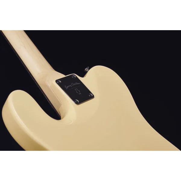 Larry Carlton T3 - vintage white