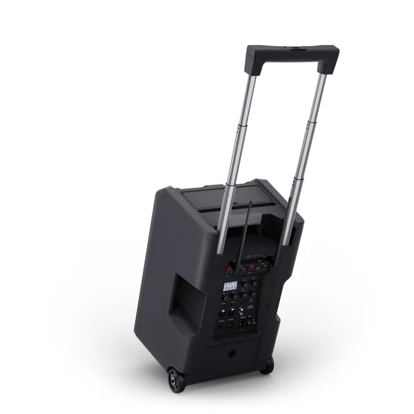 LD Systems ANNY® 10 HHD 2 B8 - 10" système Bluetooth®-PA portable sur batterie avec mixer et 2x micros main sans fil