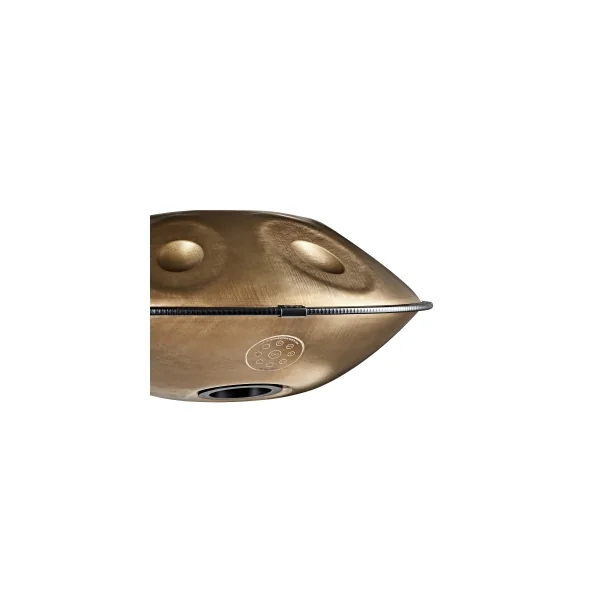 MEINL SONIC ENERGY Handpan Sensory - 9 Notes - Vintage Gold - C# Mino