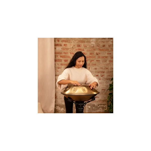 MEINL SONIC ENERGY Handpan Sensory - 9 Notes - Vintage Gold - C# Mino