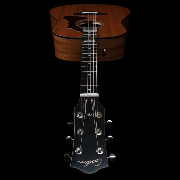 Metropolis Composer LR Baggs Element - natural semi gloss