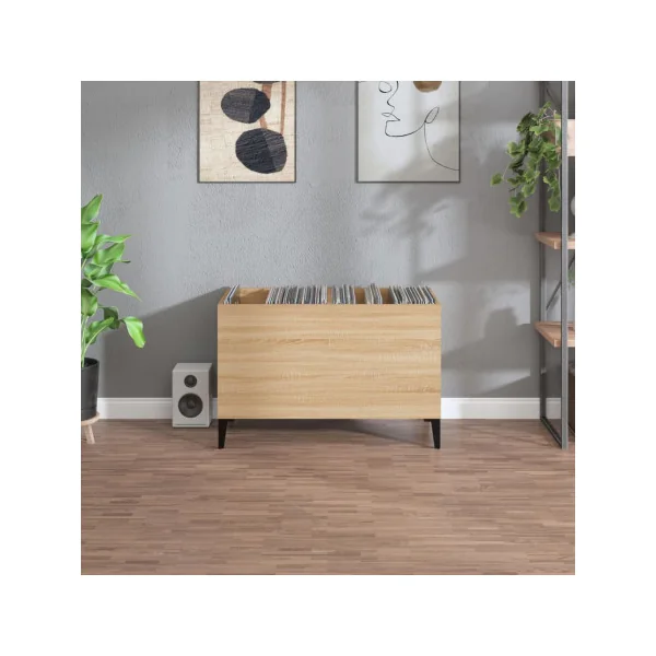 Meuble Rangement Vinyles Chêne 2 Compartiments Rangement Vinyles Moderne Armoire à Disques