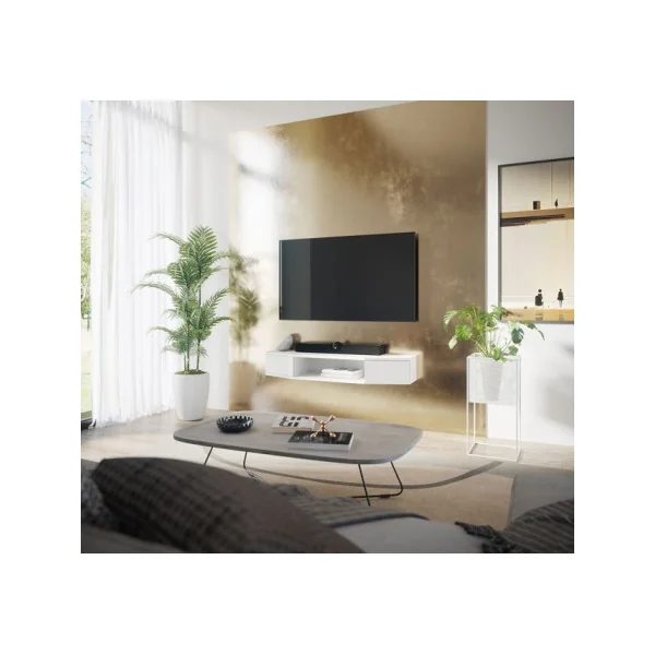 Meuble TV Blanc 110 cm 2 Portes Meuble Télévision Moderne Meuble Télé Salon
