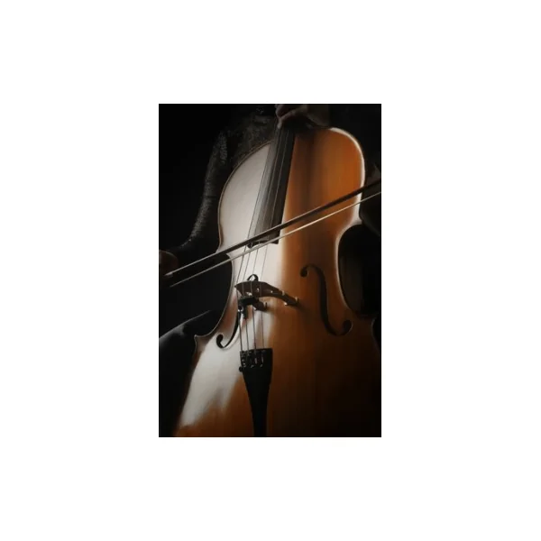 Micro instrument- Prodipe Haute-qualité