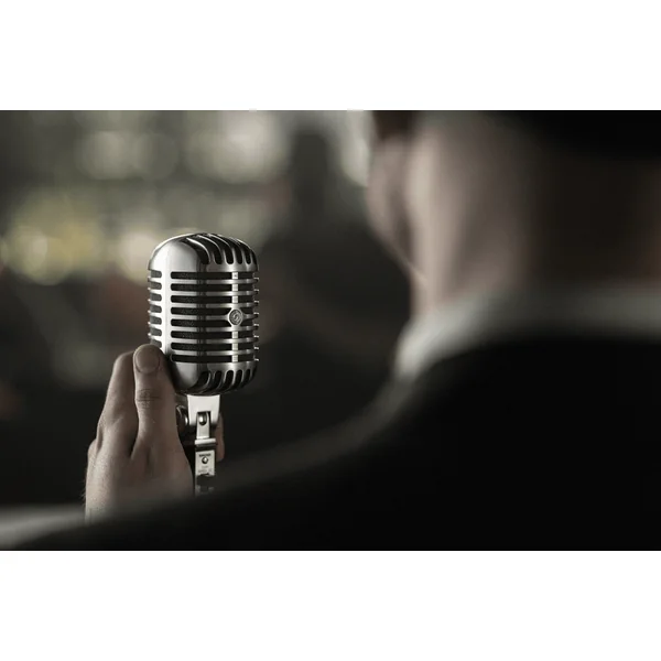 Microphone de Chant Studio SHURE SSE 55 SH T2