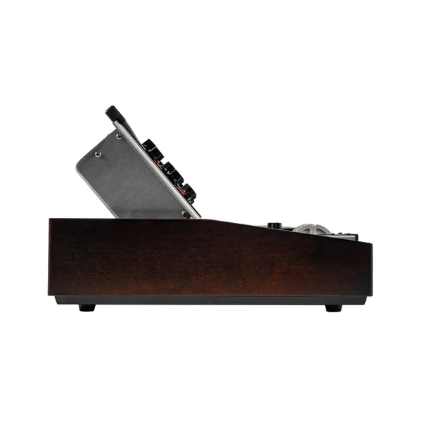 Minimoog Model D 2022