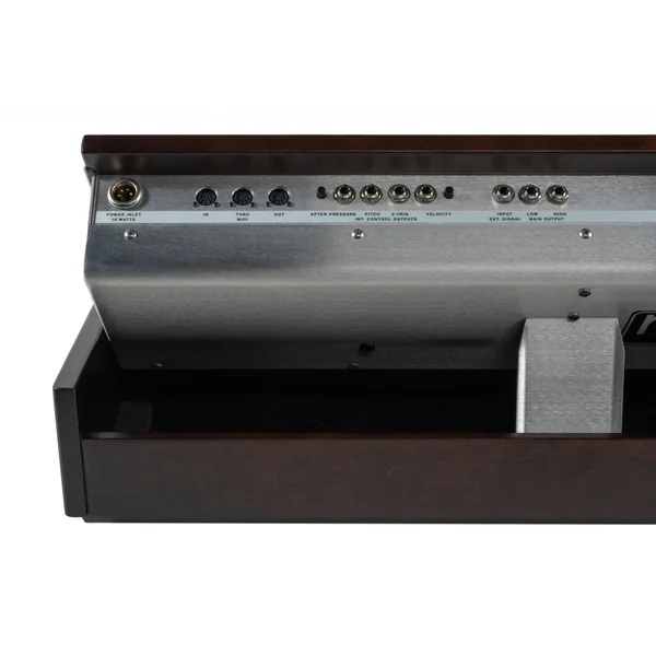 Minimoog Model D 2022