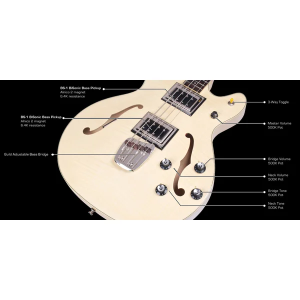 Newark St. Collection Starfire Bass II Flamed Maple - natural