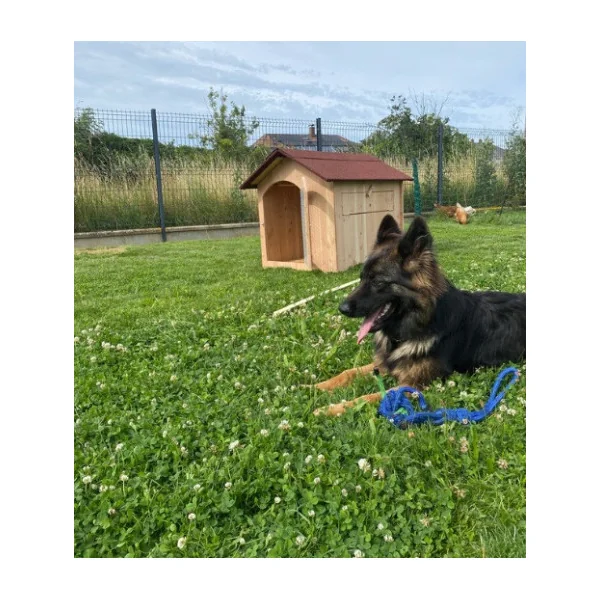 Niche Chien avec Porte Epicéa 19mm M - L - XL Niche Robuste Toiture Bitume Niche avec Porte