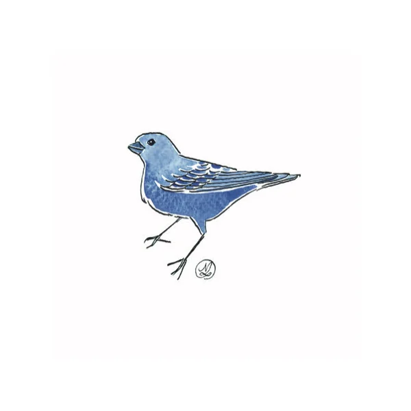 Oiseau bleu – Nadège Lelièvre