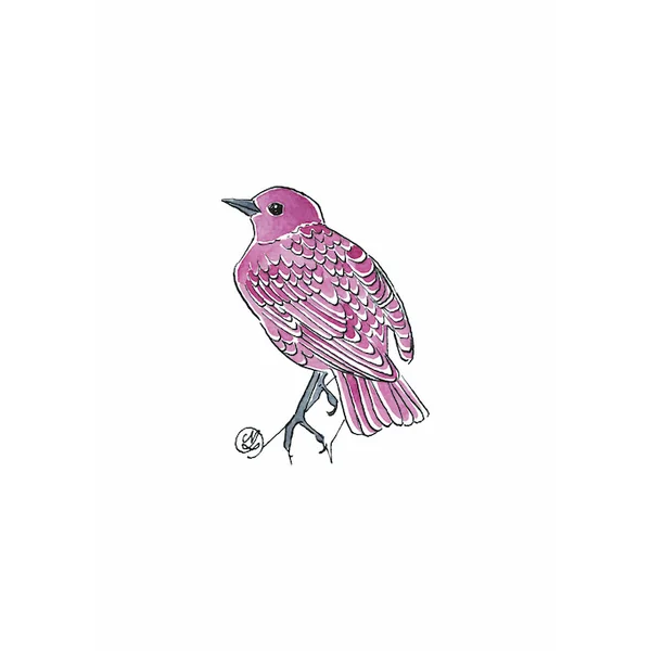 Oiseau violet – Nadège Lelièvre