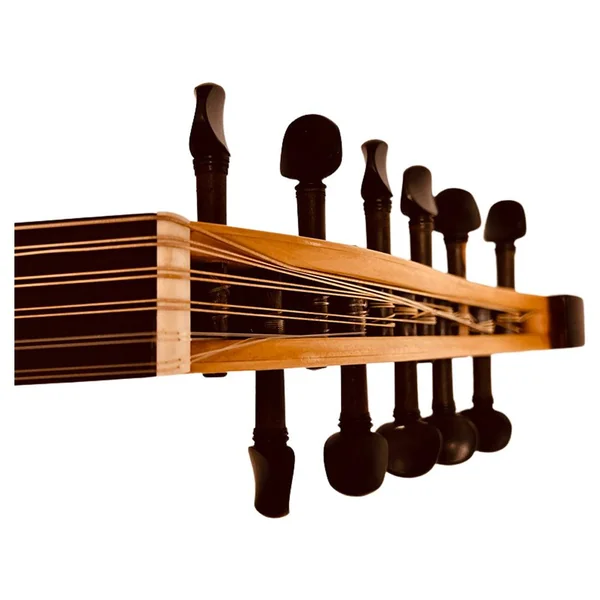 Oud Pro Farabi OPT 801 Palissandre - Luth Oriental 11 Cordes (CC-FF)