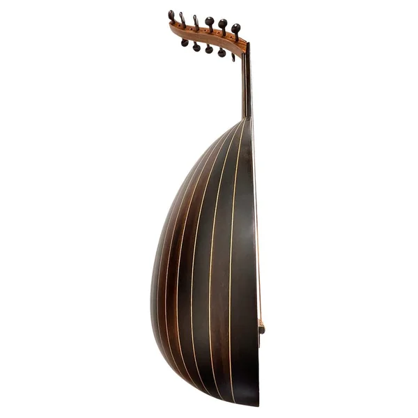 Oud Sham ILTO 208 Blackwood - Luth Oriental 11 Cordes (CC)