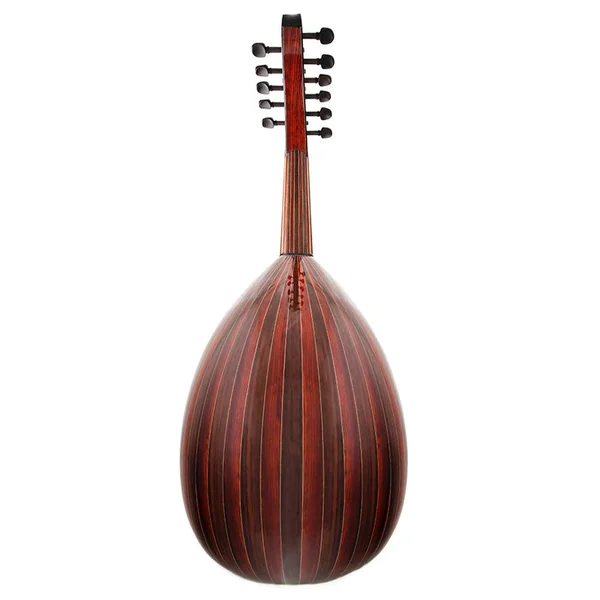 Oud Soliste Yildirim CI 650 Palissandre