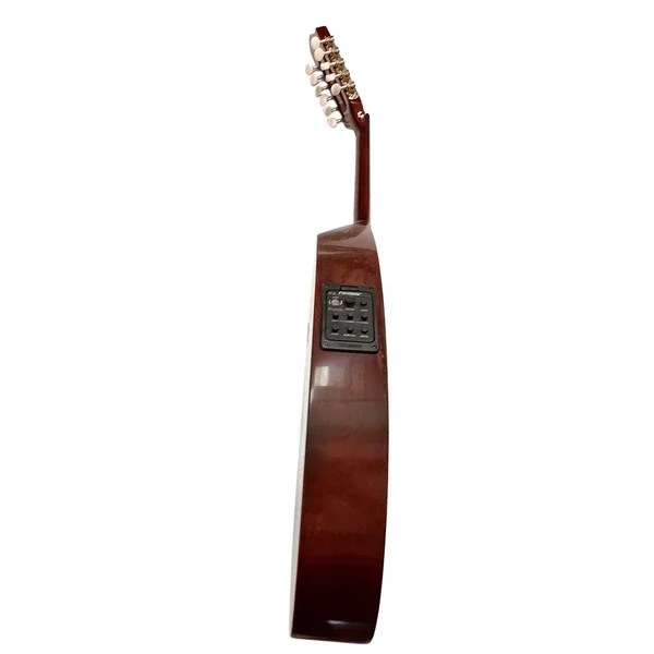 Oud Électrique BEL450 - Oud Électro-acoustique avec Capsule Fishman