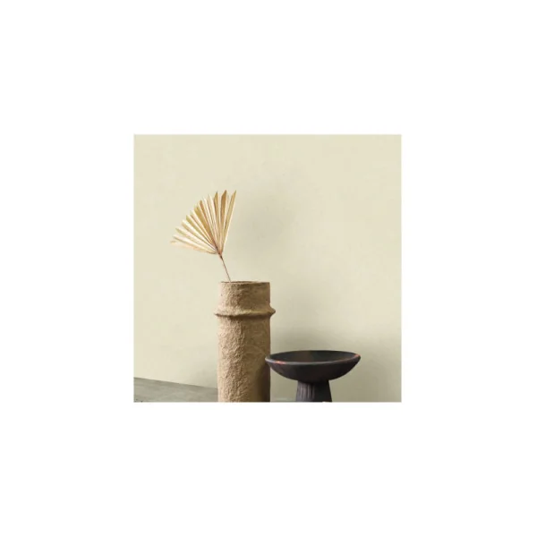 Papier Peint CASADECO Collection NEST GREGE NEST201001111