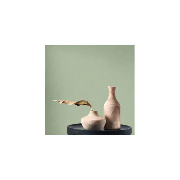Papier Peint CASADECO Collection NEST GRIS ETAIN NEST201009339