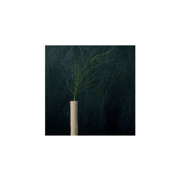Papier Peint ELITIS Bois sculpté VP 936 80 Wengué