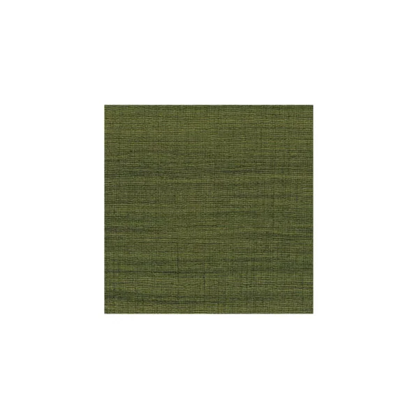 Papier Peint ELITIS CÉRÈS VP 1008 64 Entre mousse et lichen