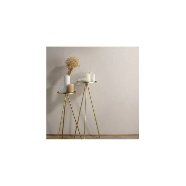 Papier Peint ERISMANN Collection GENTLE 12211-02 Beige