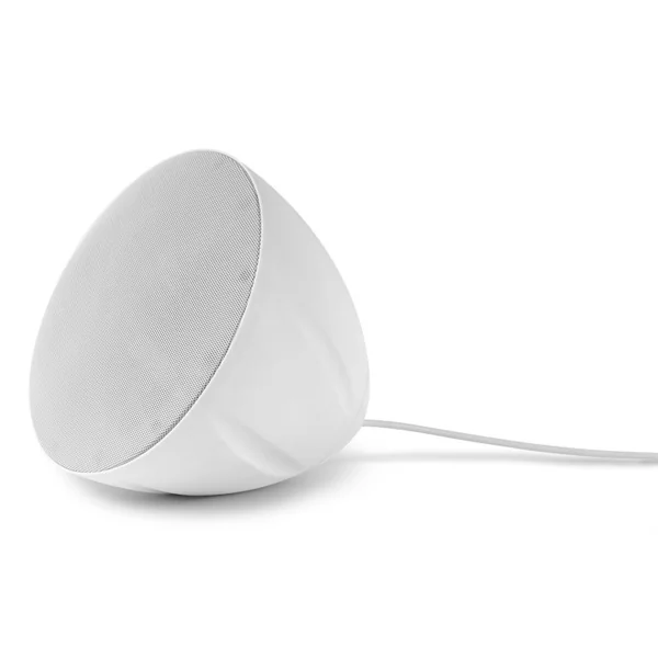 PDS40W Enceinte suspendue 30-15 Watts 100 V