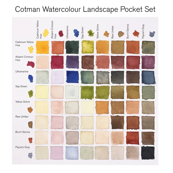 Peinture aquarelle Cotman Winsor & Newton 8 1/2 godets "Paysage"