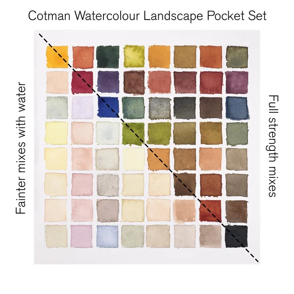 Peinture aquarelle Cotman Winsor & Newton 8 1/2 godets "Paysage"
