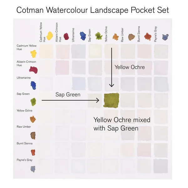 Peinture aquarelle Cotman Winsor & Newton 8 1/2 godets "Paysage"