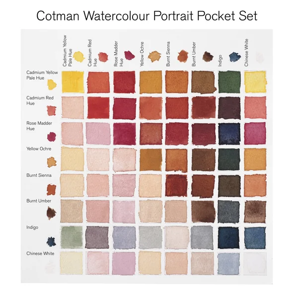 Peinture aquarelle Cotman Winsor & Newton 8 1/2 godets "Portrait"