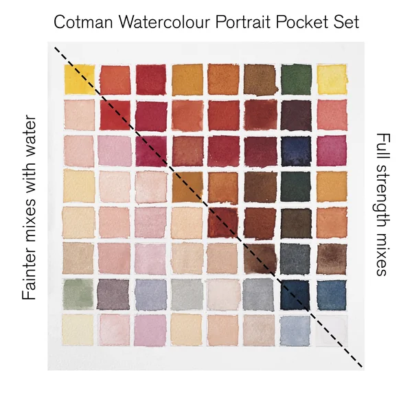 Peinture aquarelle Cotman Winsor & Newton 8 1/2 godets "Portrait"