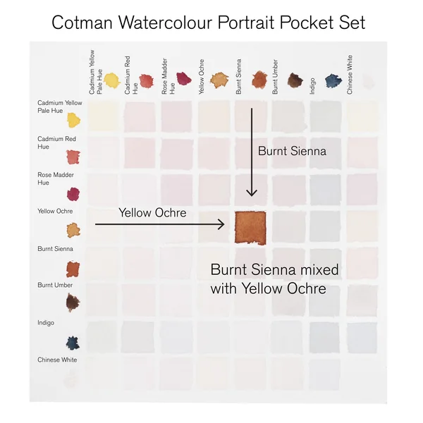 Peinture aquarelle Cotman Winsor & Newton 8 1/2 godets "Portrait"