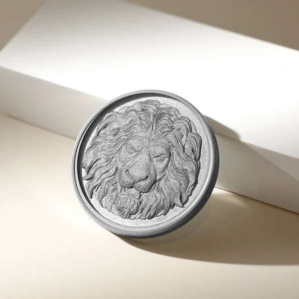 Pièces commémoratives vierges en zinc (5 pcs)