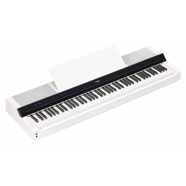 P-S500 WH