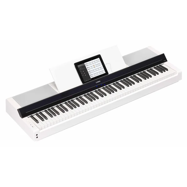 P-S500 WH