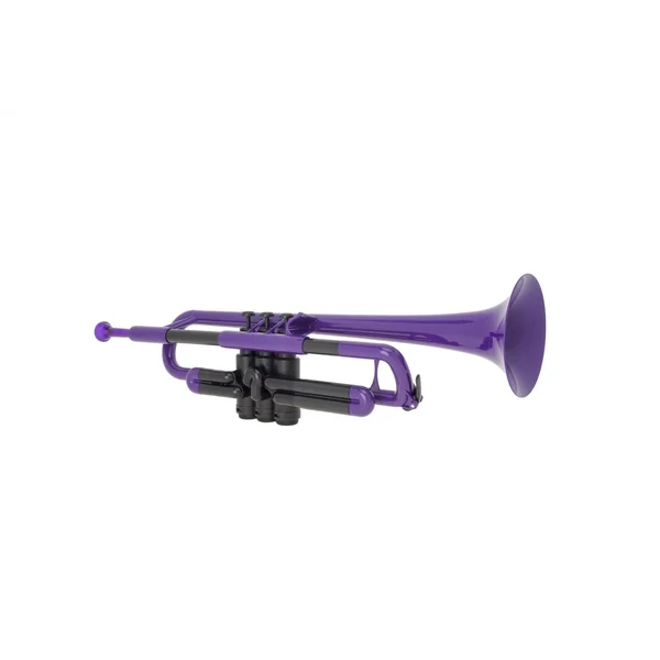 pTrumpet Trumpet - Purple