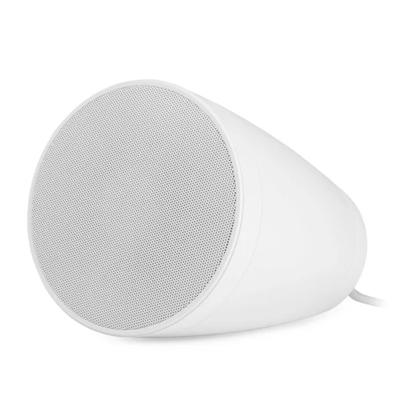 PURITY4W Enceinte suspendue 20-10-5 Watts 100 V