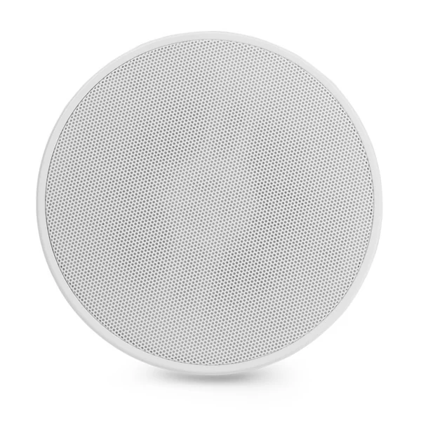 PURITY4W Enceinte suspendue 20-10-5 Watts 100 V
