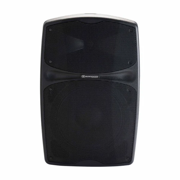 RACER250 Evo Enceinte portable amplifiée 250 Watts