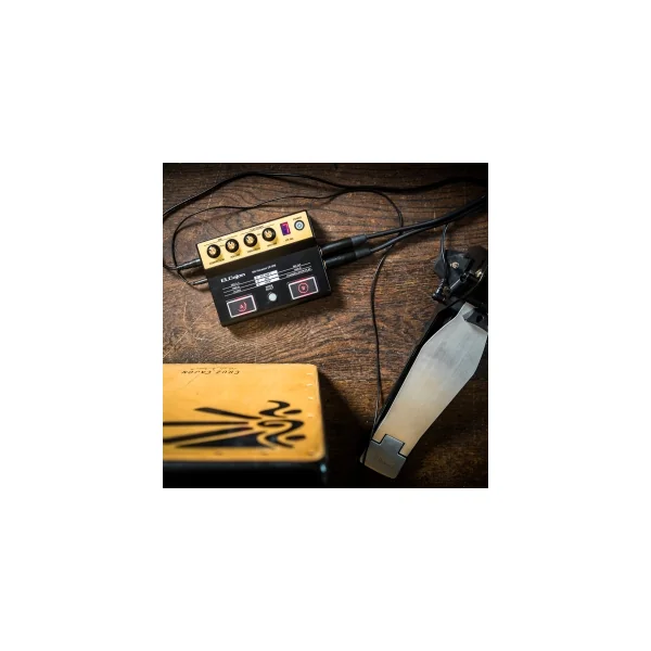 ROLAND EC-10M Micro Ec10M Pour Cajon