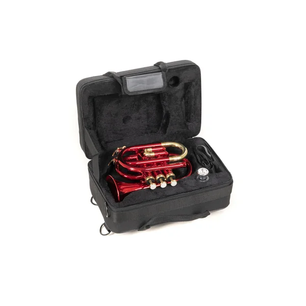 Roy Benson Bb-Pocket trumpet Roy Benson PT-101R - PT-101R