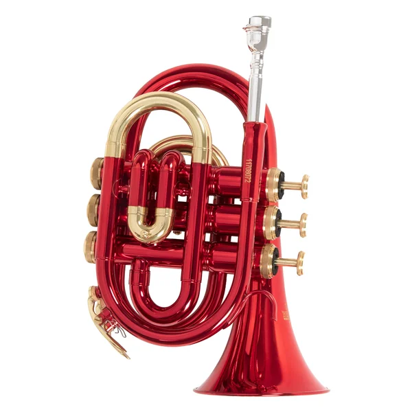 Roy Benson Bb-Pocket trumpet Roy Benson PT-101R - PT-101R