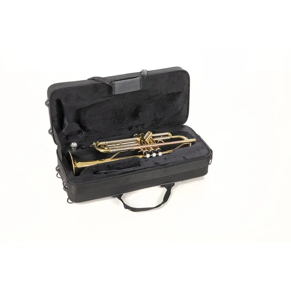 Roy Benson Bb-Trumpet Roy Benson TR-202 - TR-202