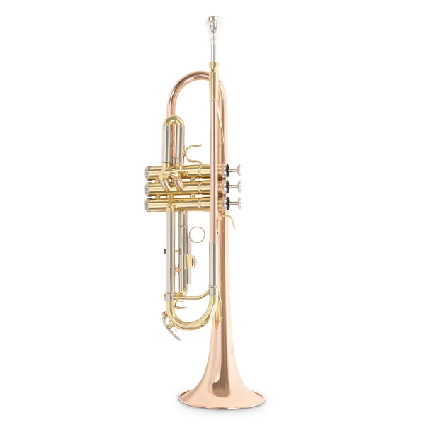 Roy Benson Bb-Trumpet Roy Benson TR-202G - TR-202G