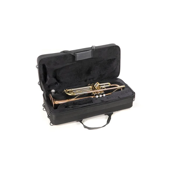 Roy Benson Bb-Trumpet Roy Benson TR-202G - TR-202G