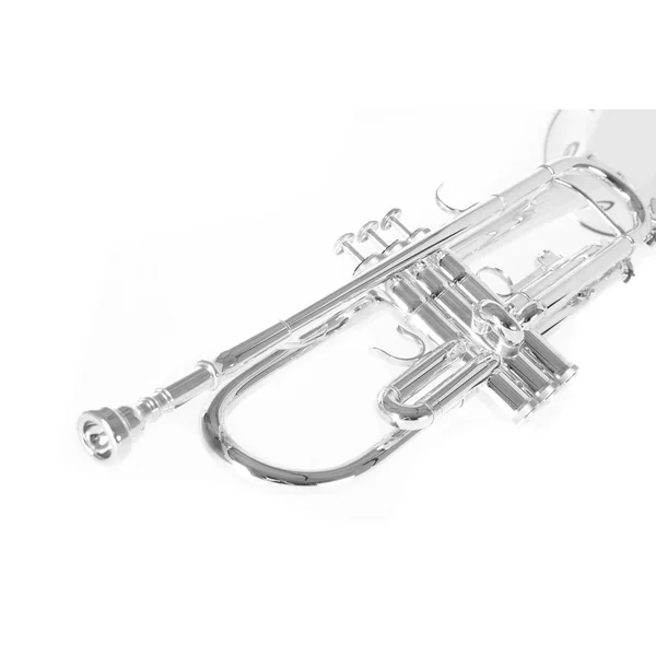 Roy Benson Bb-Trumpet Roy Benson TR-202S - TR-202S